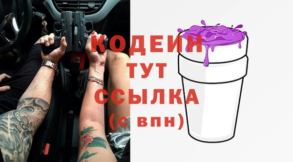 ECSTASY Ельня