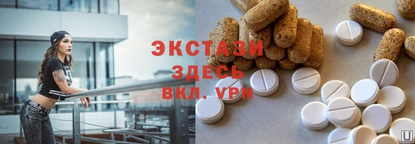 ECSTASY Елизово