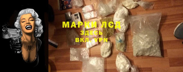 ECSTASY Ельня