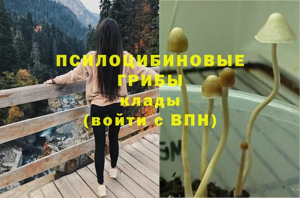 ECSTASY Ельня