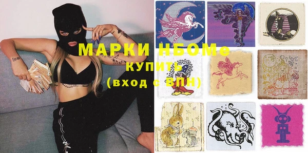 ECSTASY Елизово