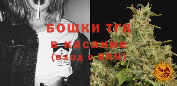 ECSTASY Елизово