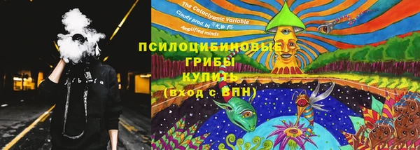 ECSTASY Ельня
