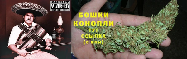 ECSTASY Елизово