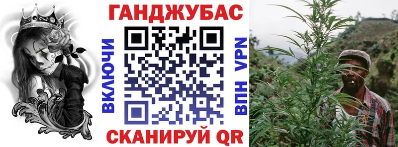 Купить где  Злынка  Бошки марихуана SATIVA & INDICA 
